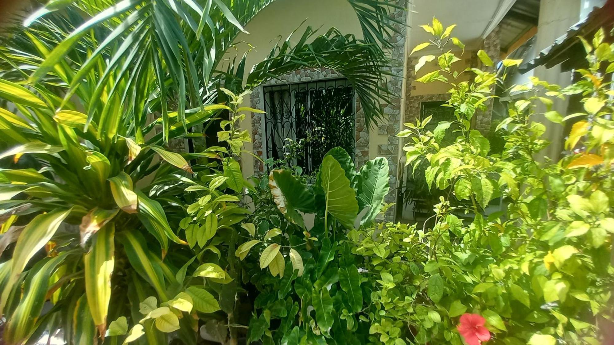 Mount Zion Guest House, Mtwapa Mtomondoni Mombasa Extérieur photo