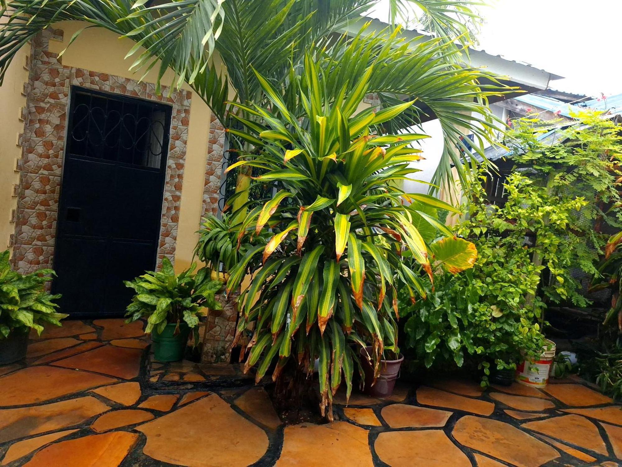 Mount Zion Guest House, Mtwapa Mtomondoni Mombasa Extérieur photo